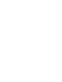 Experience